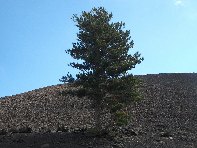 nti Sartorius-20100606 021